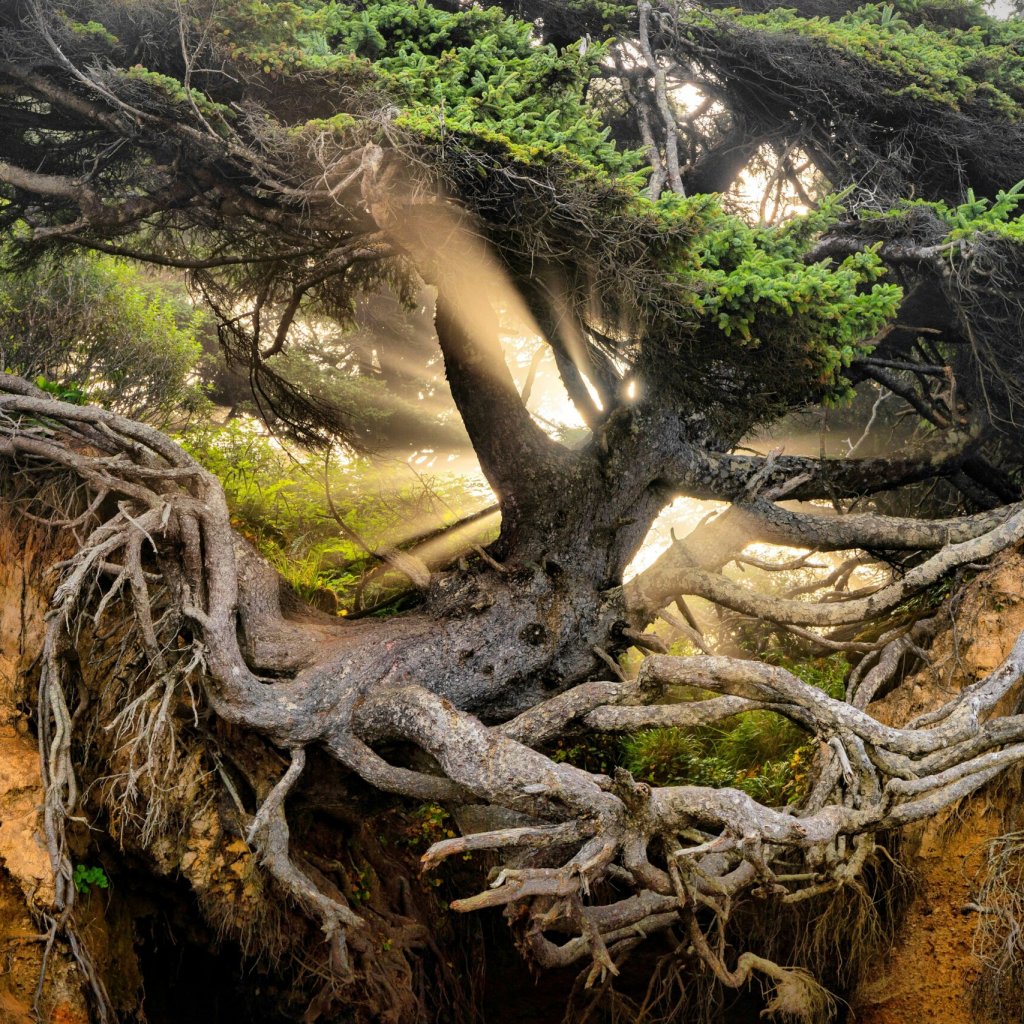 beier-c--Ao0aNqiquc-unsplash